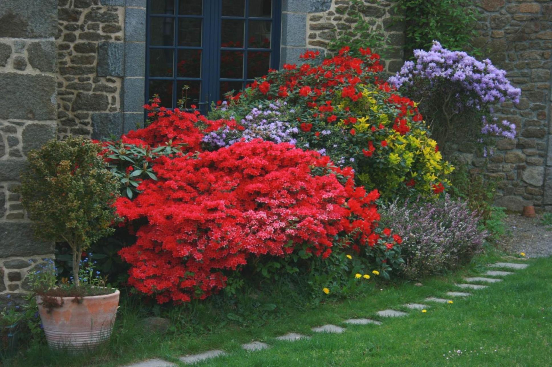 Au Pont Ricoul Bed & Breakfast Saint-Pierre-de-Plesguen Екстериор снимка