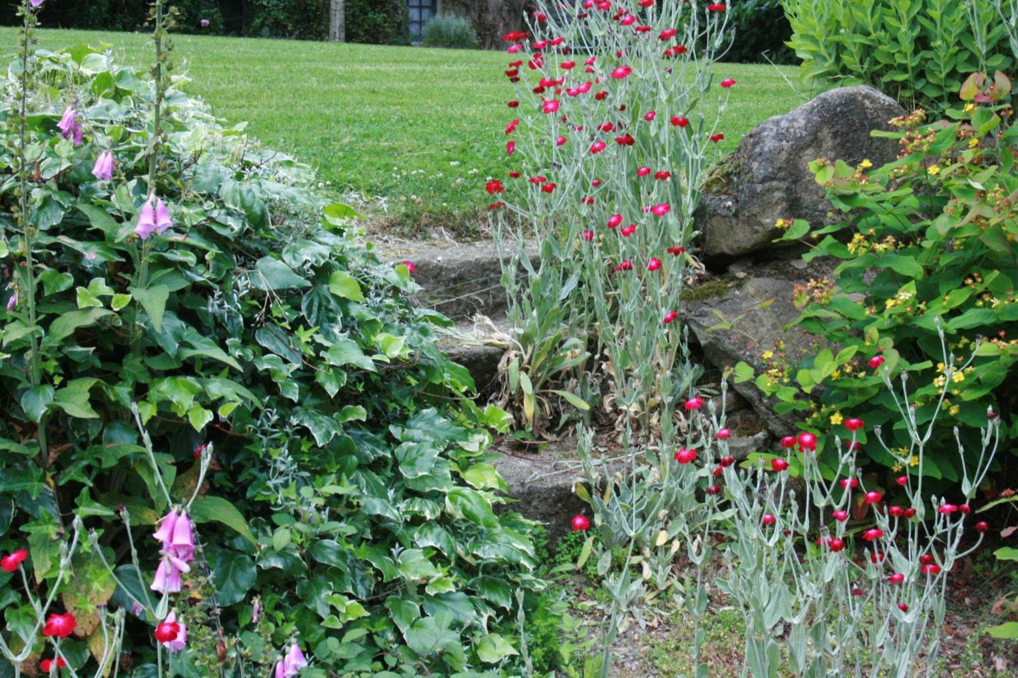 Au Pont Ricoul Bed & Breakfast Saint-Pierre-de-Plesguen Екстериор снимка
