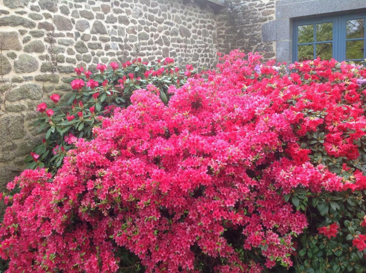 Au Pont Ricoul Bed & Breakfast Saint-Pierre-de-Plesguen Екстериор снимка